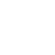 Icon car