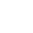 Icon car