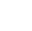 Icon pet