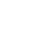 Icon pet