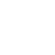 Icon urgentflight