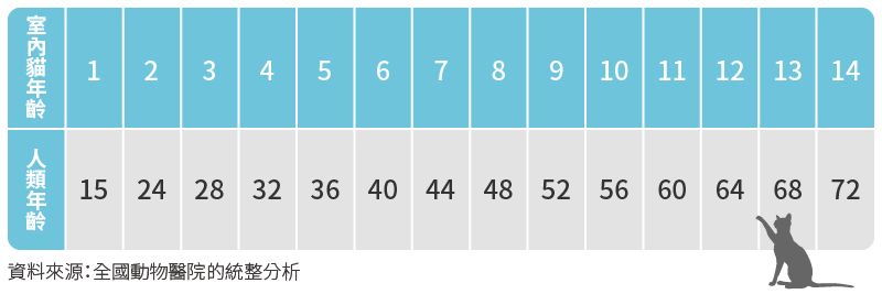 貓年齡、貓換算人類年齡、貓幾歲、貓年齡換算、貓年齡計算、貓年齡換算表、貓年齡對照表、貓年紀計算、 貓年紀換算、貓年齡計算法、貓年紀怎麼算、貓貓年齡、貓的年齡、貓的年齡要怎麼算、貓的年齡怎麼算、 貓的年齡計算、貓的年齡換算、貓的年紀、貓的年紀怎麼算
