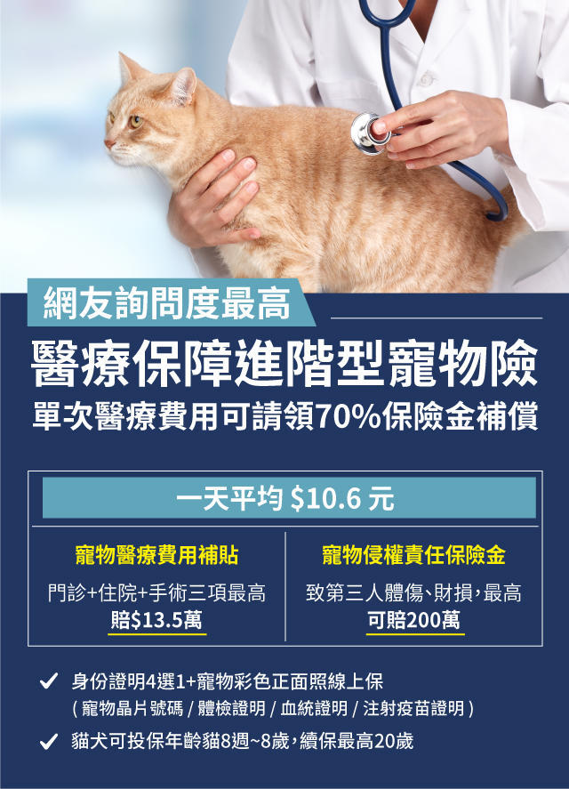 明台產險 寵物保險推薦 在saracares線上投保享優惠 莎拉保險網